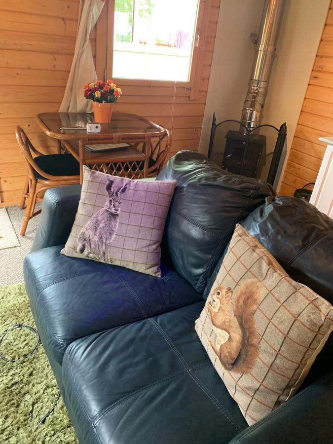 Willa Cosy Countryside Cabin Inverness Zewnętrze zdjęcie